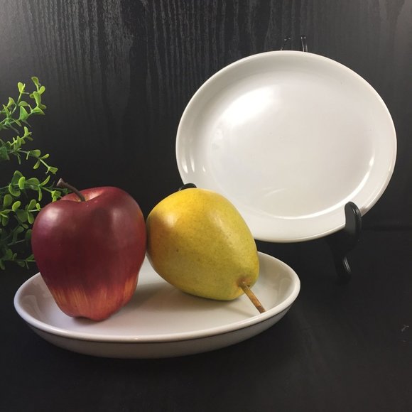 2 AMKO American Airlines Oval First Class Serving Plate White with Platinum Band - Picture 4 of 7